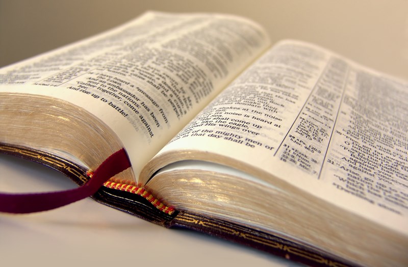 Bible Studies